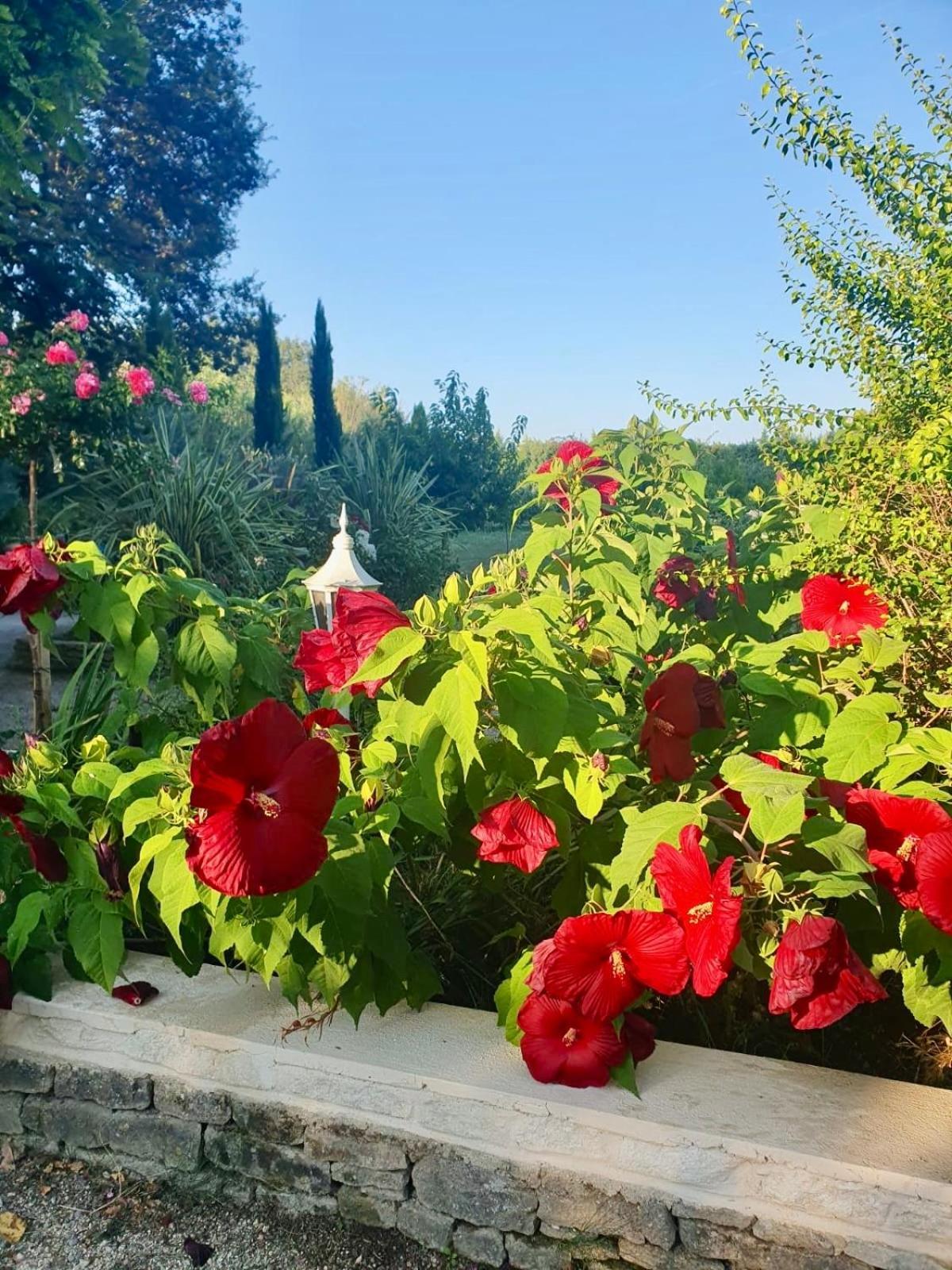 LUBERON EN PROVENCE GITE 3 CHAMBRES avec PISCINE PRIVEE Cheval-Blanc Extérieur photo